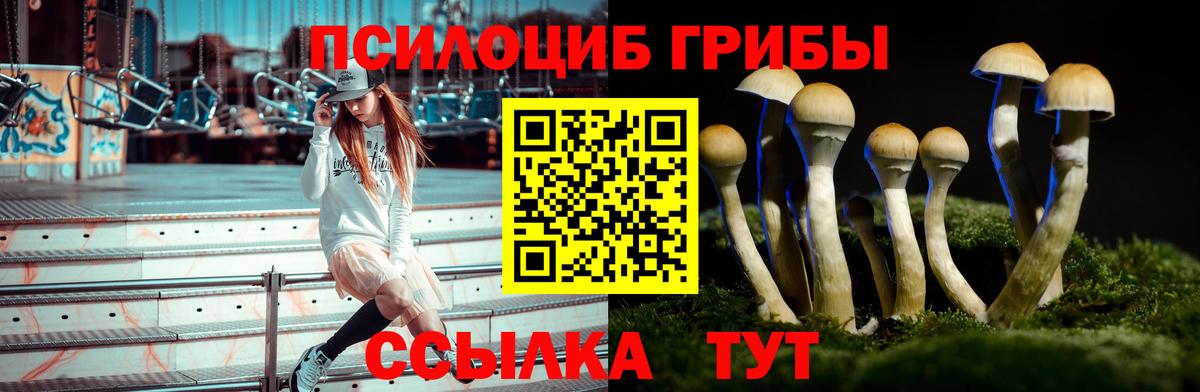 Шадринск  Галлюциногенные грибы Cubensis  Вход с VPN 